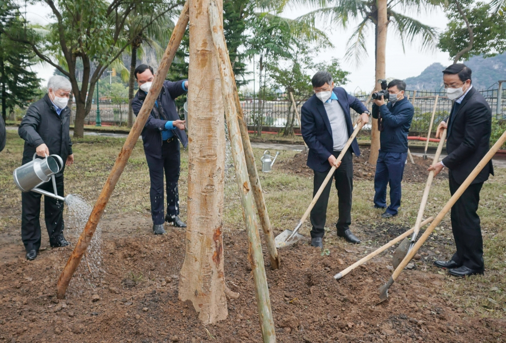VGCL launches tree-planting in gratitude to Uncle Ho